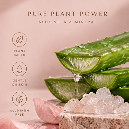 LIVVELA Natural Deodorant – Aloe Vera & Mineral